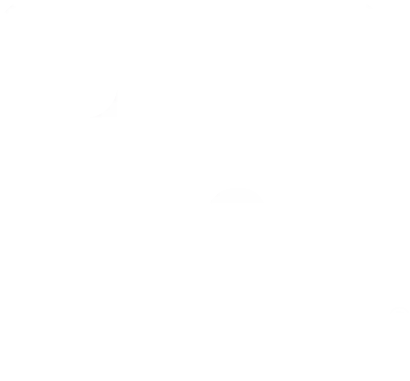 Logo Linkedin